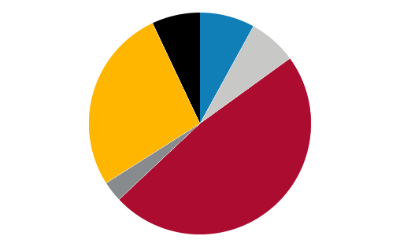 pie chart showing student demographic breakdown